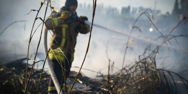 Вогонь намагався дістатись баз відпочинку у Коблево: на Миколаївщині загасили масштабну пожежу (ФОТО)