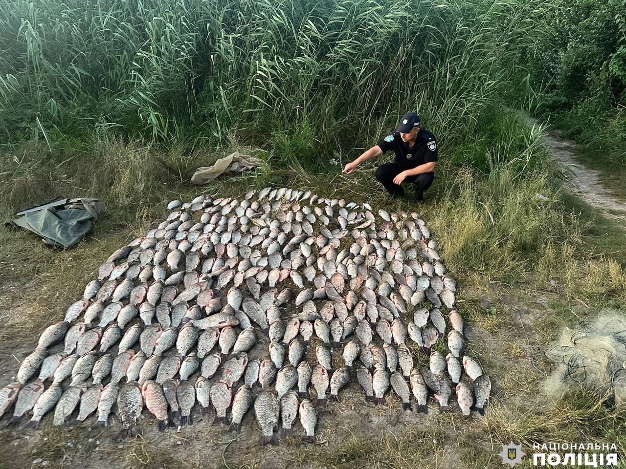 У Миколаєві в районі Ракетки зловили рибалок з сітками і рибою (ФОТО)