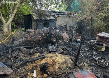 На Миколаївщині гасили господарчу споруду, дах літньої кухні та ВАЗ-2105 (ФОТО)