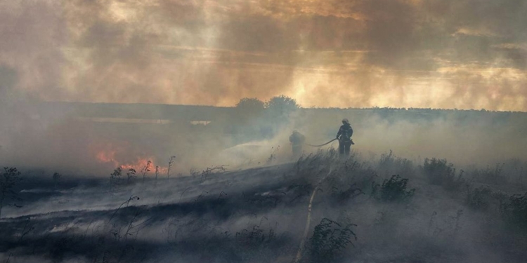 На Миколаївщині за добу гасили 11 пожеж – горіло на 16 га. Де саме (ФОТО, ВІДЕО)