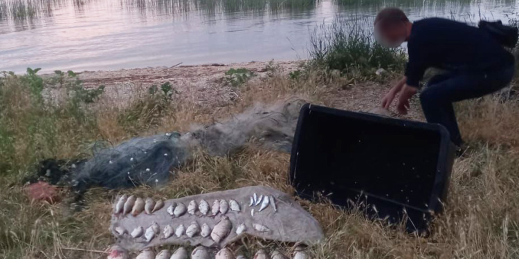 За виловлену біля Миколаєва рибу рибалці нарахували 124 тис. збитків (ФОТО, ВІДЕО)