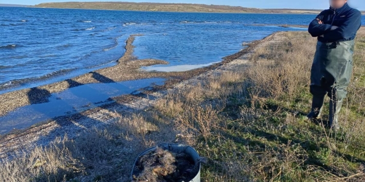 На Миколаївщині браконьєр може сісти на 3 роки за 750 бичків (ФОТО)