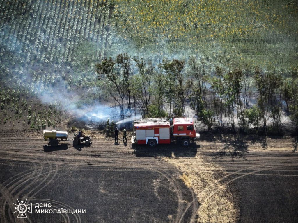 Три масштабні пожежі загасили у Миколаївському районі Миколаївщини – вигоріло 30 га з зерновими на корені (ФОТО) 6