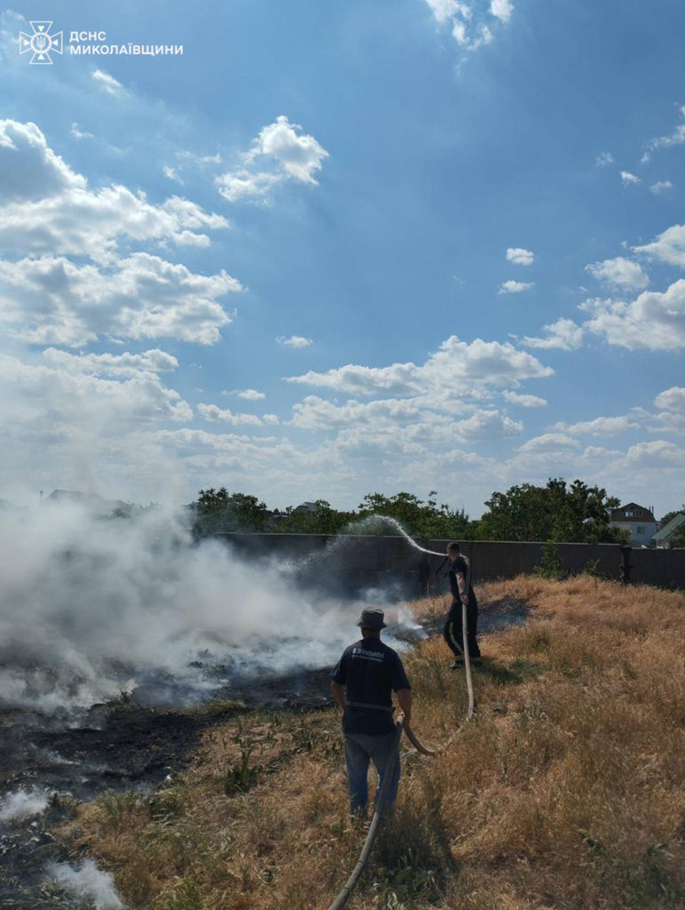 Вигоріло 2 га: пожежу сухостою у Балабанівці гасили вогнеборці двох районів Миколаєва (ФОТО) 6