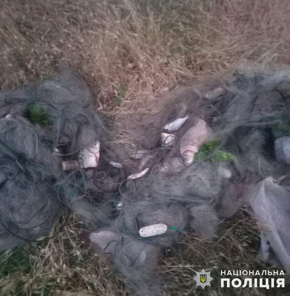 За виловлену біля Миколаєва рибу рибалці нарахували 124 тис. збитків (ФОТО, ВІДЕО) 5