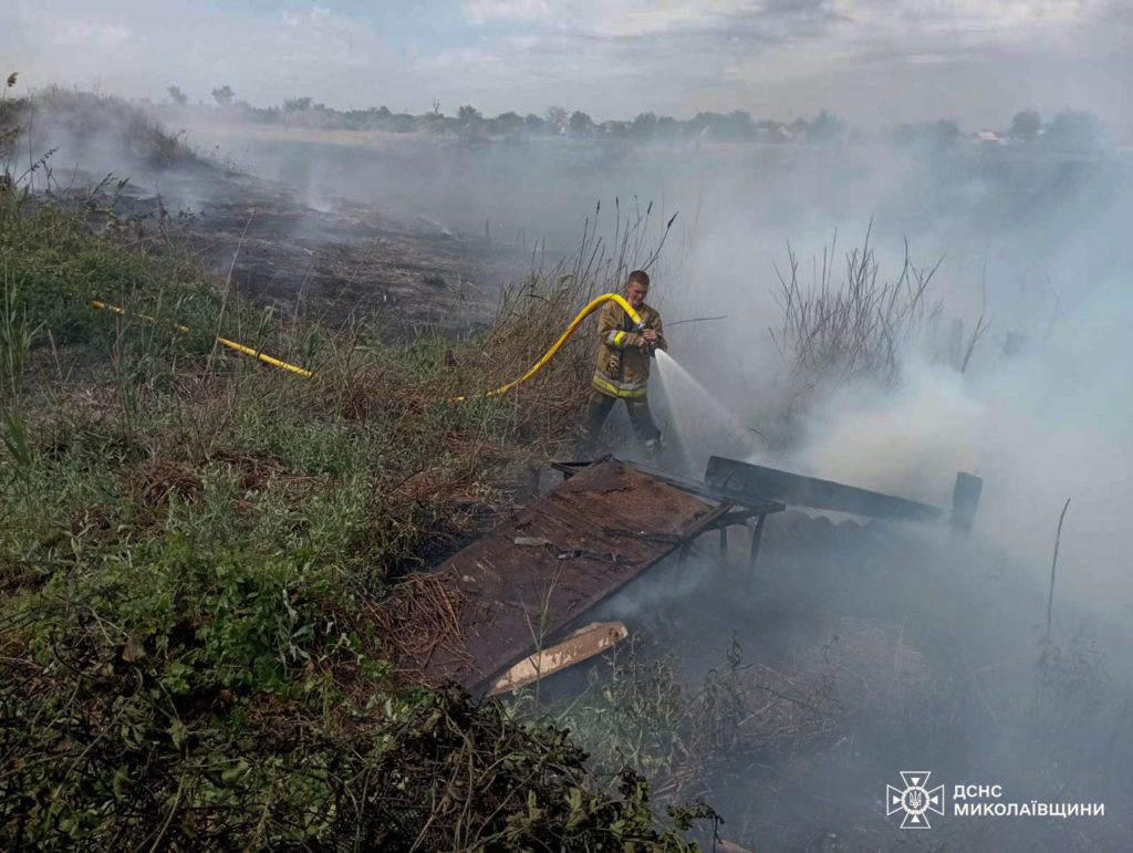 Тільки за сьогодні на Миколаївщині вигоріло 6 га відкритих територій (ФОТО) 8