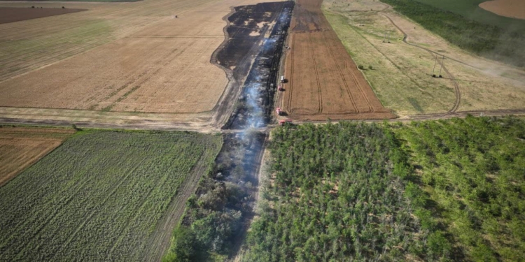 На Миколаївщині рятувальники ліквідували пожежу площею 4 га (ФОТО)