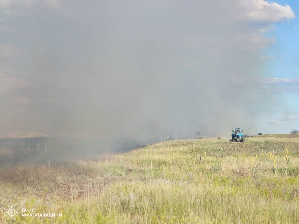 За добу на Миколаївщині вигоріло понад 10,5 га відкритих територій. Горів через підпал і ліс (ФОТО) 8