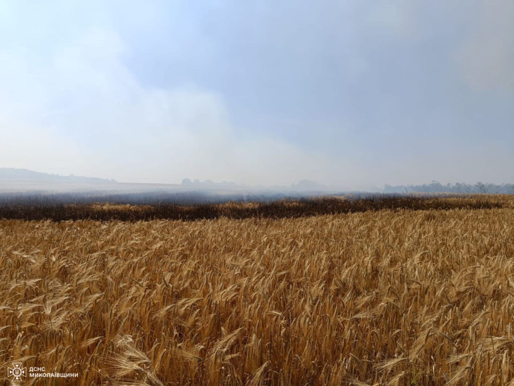 На Миколаївщині займання сухої трави призвело до пожежі ячменю на корені (ФОТО) 10