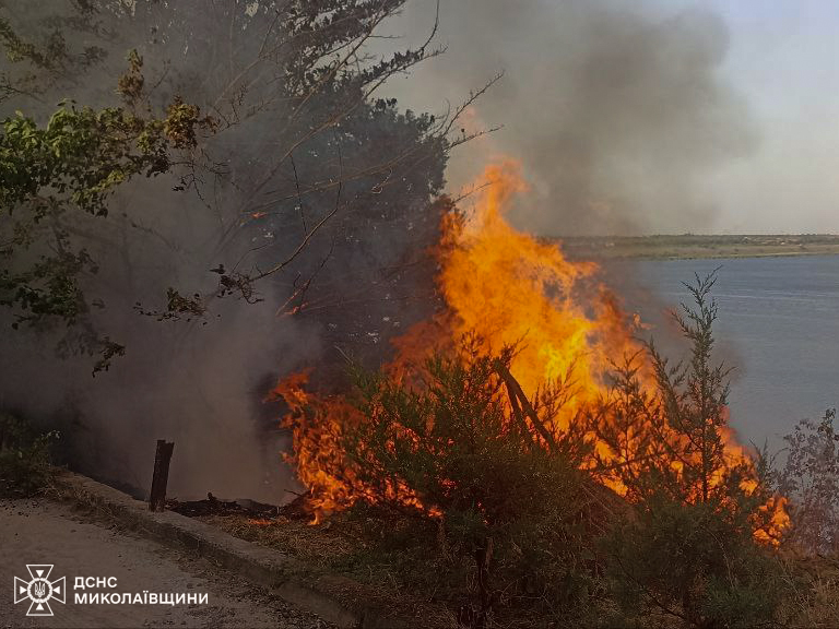 На Миколаївщині вигоріло 9 га відкритих територій, але вогнеборцям вдалось врятувати 11 га пшениці (ФОТО) 10