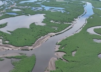 Замість води – джунглі. Підрив Каховської ГЕС ускладнив хід бойових дій на півдні (ВІДЕО)