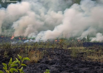За добу 17 пожеж в екосистемах Миколаївщини – горіло на 16 га