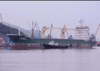 Хусити атакували українське судно Verbena двома протикорабельними крилатими ракетами в Аденській затоці