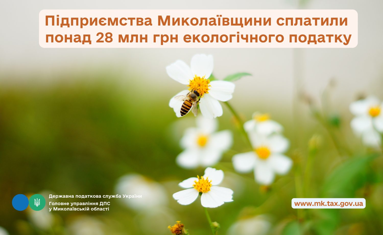 Підприємства Миколаївщини сплатили понад 28 млн грн екологічного податку