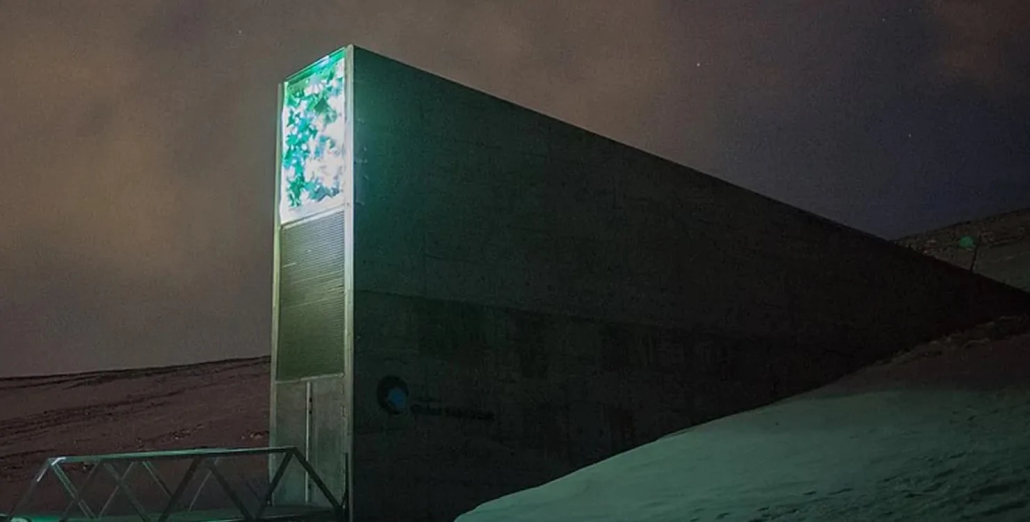 Що спільного у секретного архіву Ватикану і сховища Судного дня (ФОТО)