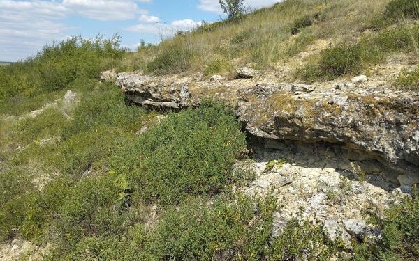 На Миколаївщині планують створити ландшафтний заказник «Чичикліївський»: обстеження проведені (ФОТО)