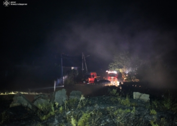 У Миколаєві масштабна пожежа сухостою ледь не призвела до займання житлових будинків (ФОТО)