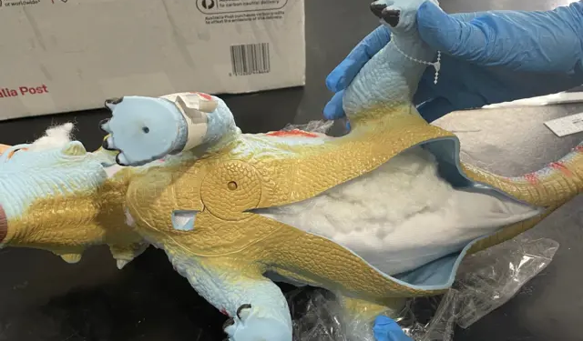 Жаби в коробочках, ящірки в дитячих іграшках. Як контрабандисти розсилають посилки з тваринами (ФОТО)