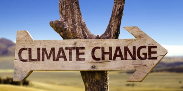 Зміна клімату: у Миколаївській області з роками стає все спекотніше – як це пережити?