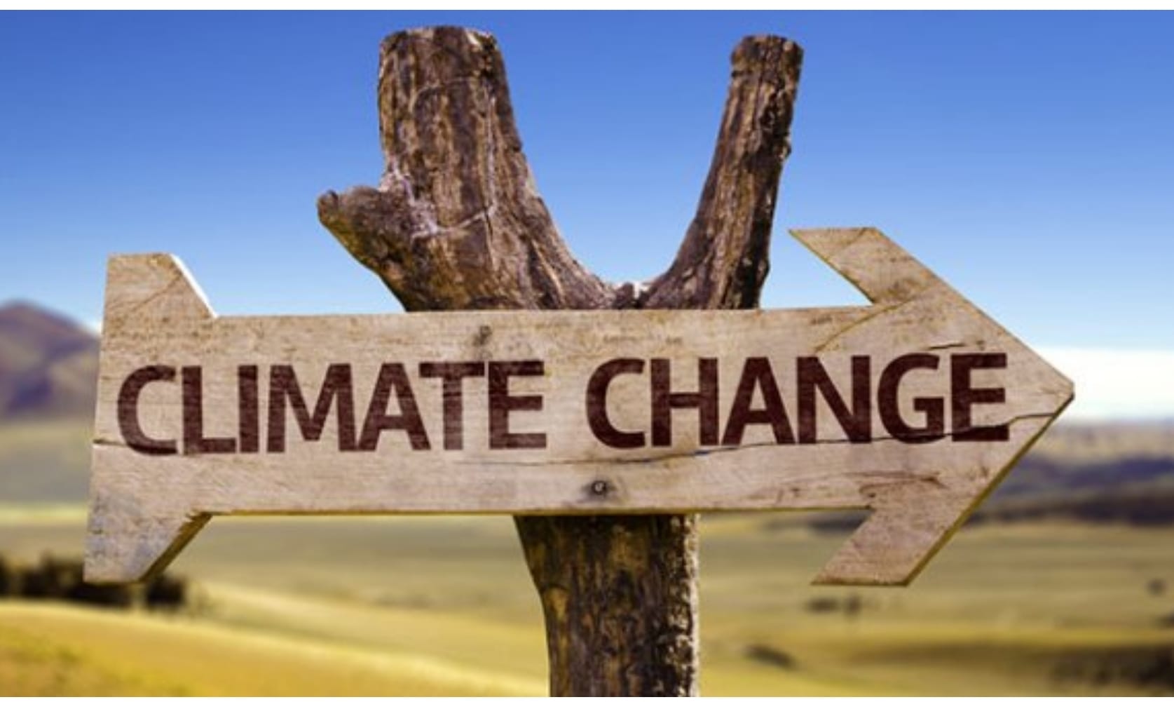 Зміна клімату: у Миколаївській області з роками стає все спекотніше – як це пережити?