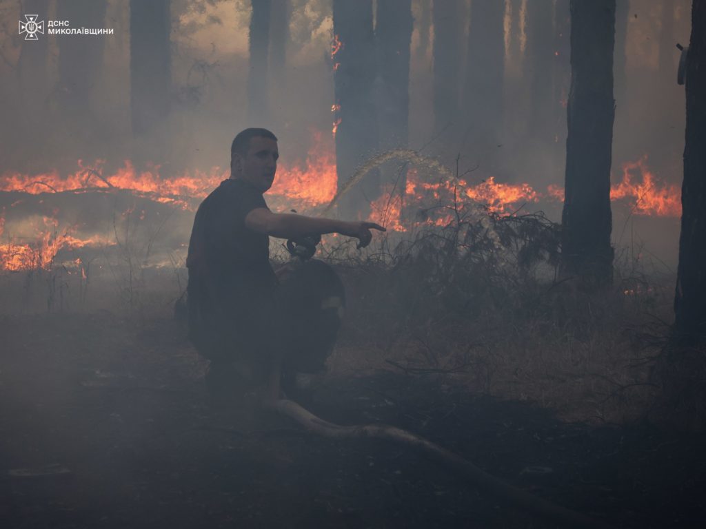 Пожежу біля Балабанівського урочища загасили - на 5 га (ФОТО) 2