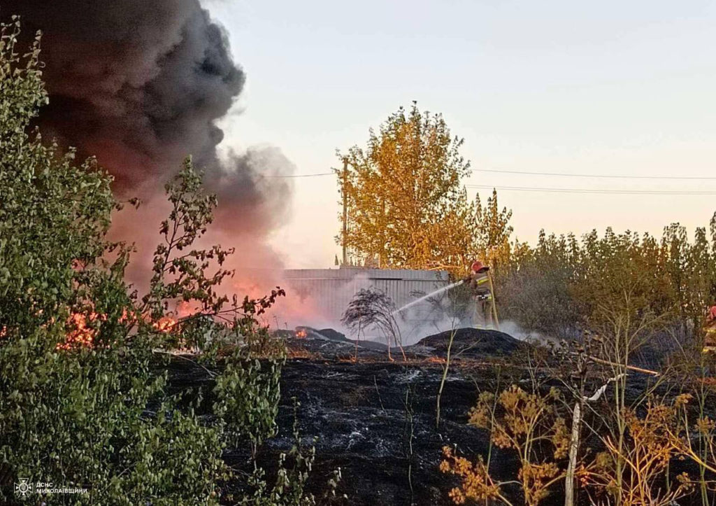 Миколаївщина у вогні: минулої доби виникло 37 пожеж, в більшості випадків горів сухостій (ФОТО) 2