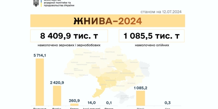 В Україні намолочено понад 8 мільйонів тонн зерна: Миколаївщина – в лідерах