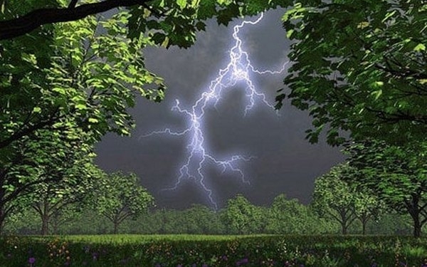 На Миколаївщині внаслідок влучання блискавки загинула жінка