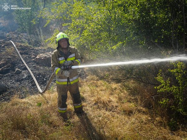 На Миколаївщині за добу було 49 пожеж: вигоріло маже 100 га, на пожежах постраждало 3 людини (ФОТО) 1