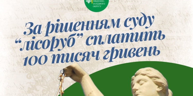За рішенням суду “лісоруб” з Миколаївщини сплатить 100 тисяч гривень