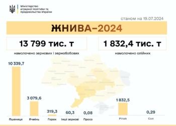 Жнива-2024: в Україні вже намолочено понад 15 мільйонів тонн зернових та олійних, Миколаївщина – в трійці лідерів