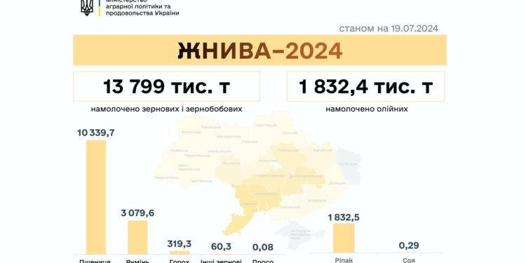 Жнива-2024: в Україні вже намолочено понад 15 мільйонів тонн зернових та олійних, Миколаївщина – в трійці лідерів