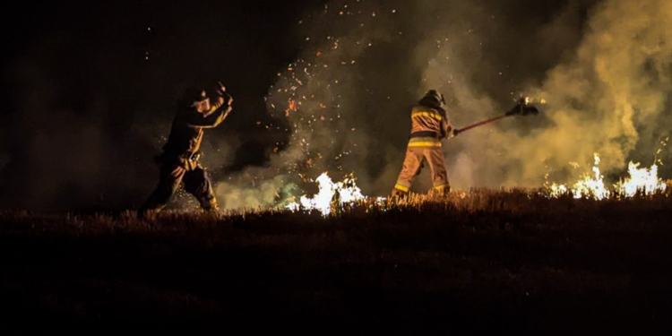 12 пожеж сухої трави за добу приборкали вогнеборці Миколаївщини (ФОТО)