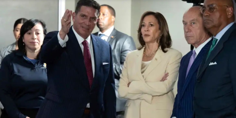 Що відомо про кандидатів у віцепрезиденти у Гарріс, і як ці люди пов’язані з Україною