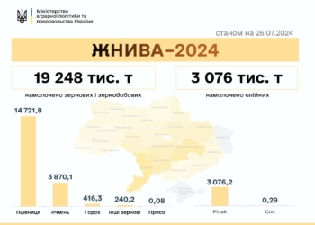 Жнива-2024: в Україні вже намолочено понад 22 мільйони тонн зернових та олійних, Миколаївщина входить в ТОП-3