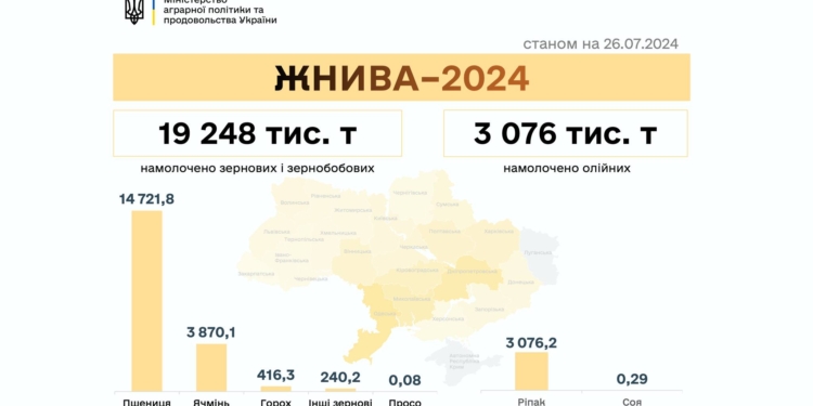 Жнива-2024: в Україні вже намолочено понад 22 мільйони тонн зернових та олійних, Миколаївщина входить в ТОП-3