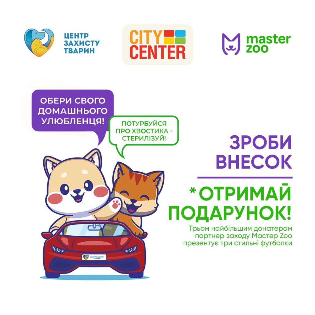 Миколаївців кличуть на благодійний захід для «хвостиків», які утримуються на КП «Центр захисту тварин» 2