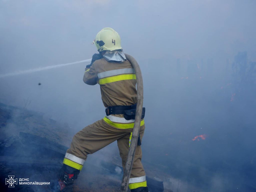 У Миколаєві за день двічі горів сухостій, а також лісові насадження (ФОТО) 2