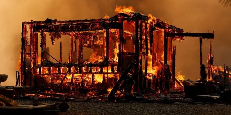 Найбільша пожежа в США: полум’я охопило 1600 кв.км