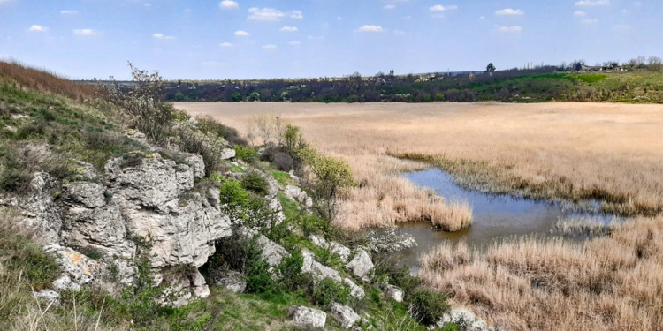 У Веселинівській громаді на Миколаївщині з’явиться екостежка «Долина троянд»