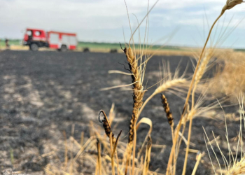 На Миколаївщині під час збору врожаю загорівся комбайн, а потім – і 4 га ячменю (ФОТО)