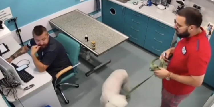 В Одесі чоловік облаяв ветлікаря-ветерана ЗСУ на протезах. Його змусили вибачитись – ветеран вибачення не прийняв (ВІДЕО)