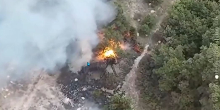 ВМС знищили ворожу гармату, яка обстрілювала Очаківщину (ВІДЕО)