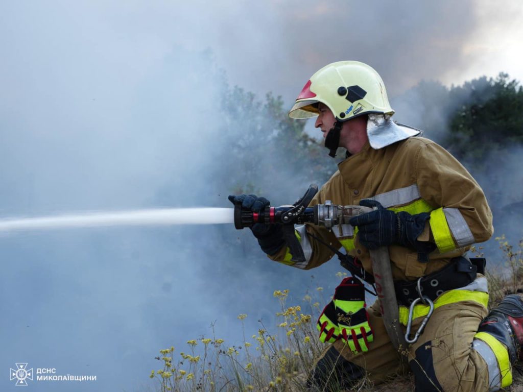 У Миколаєві за день двічі горів сухостій, а також лісові насадження (ФОТО) 20