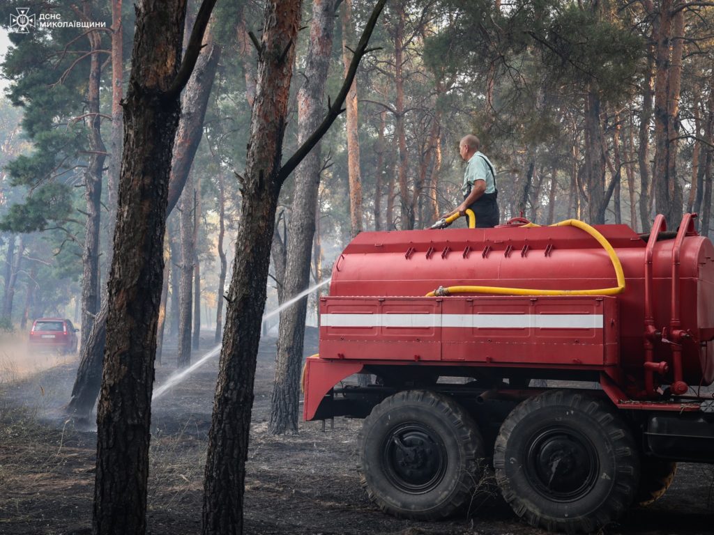 Миколаївщина у вогні: минулої доби виникло 37 пожеж, в більшості випадків горів сухостій (ФОТО) 22