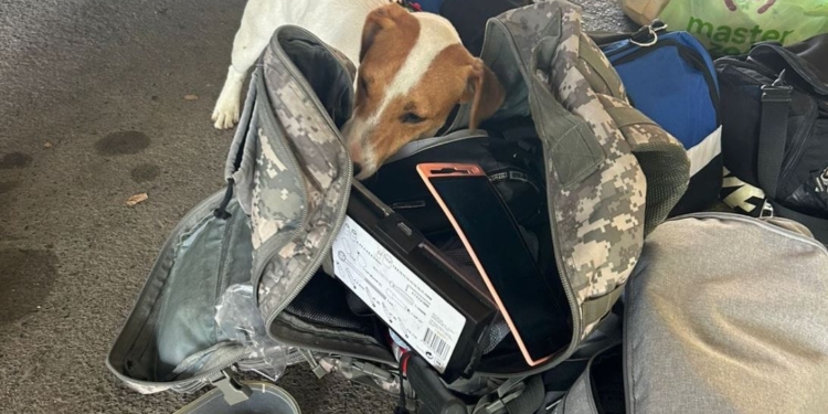 На угорському кордоні затримали жінку з гранатою – каже, що в Будапешті попросили (ФОТО)