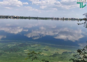 Спека на півдні посилиться. В ліс – тільки пішки, в Миколаєві цвіте Південний Буг (ФОТО)