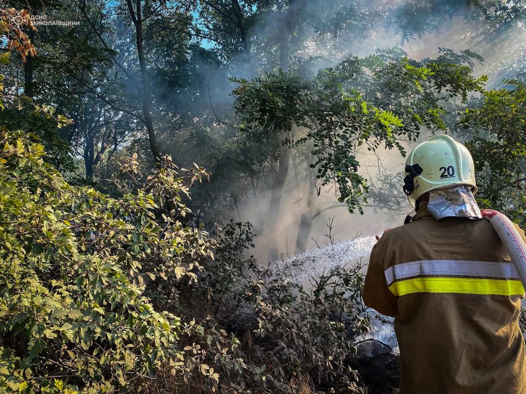 Миколаївщина у вогні: минулої доби виникло 37 пожеж, в більшості випадків горів сухостій (ФОТО) 24