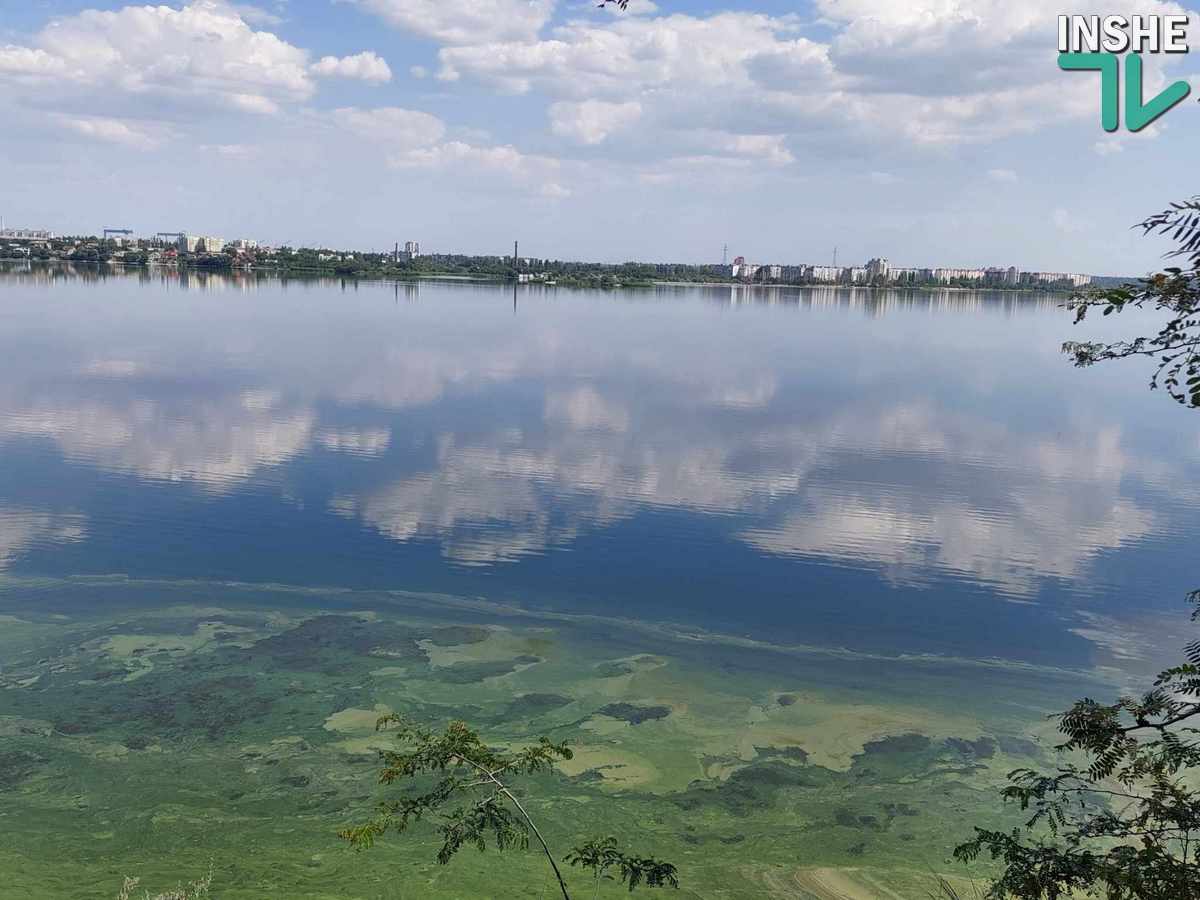 Спека на півдні посилиться. В ліс – тільки пішки, в Миколаєві цвіте Південний Буг (ФОТО)