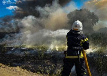 За добу на Миколаївщині вигоріло понад 39 га відкритих територій (ФОТО)